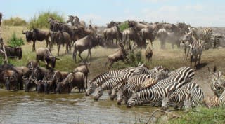 Tanzania & Zanzibar Tanzania & Zanzibar