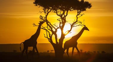 Verrassende rondreis door Kenia Verrassende rondreis door Kenia