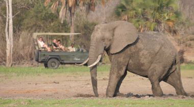 Luxe Safari Zuid-Tanzania Luxe Safari Zuid-Tanzania