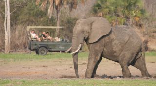 Luxe Safari Zuid-Tanzania Luxe Safari Zuid-Tanzania