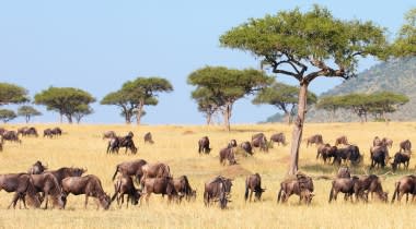 Zuid-Afrika - safari rondreis Zuid-Afrika - safari rondreis