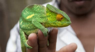 Madagaskar - budgetreis Madagaskar - budgetreis