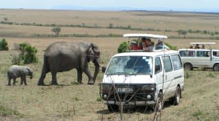 Op safari in Kenia!