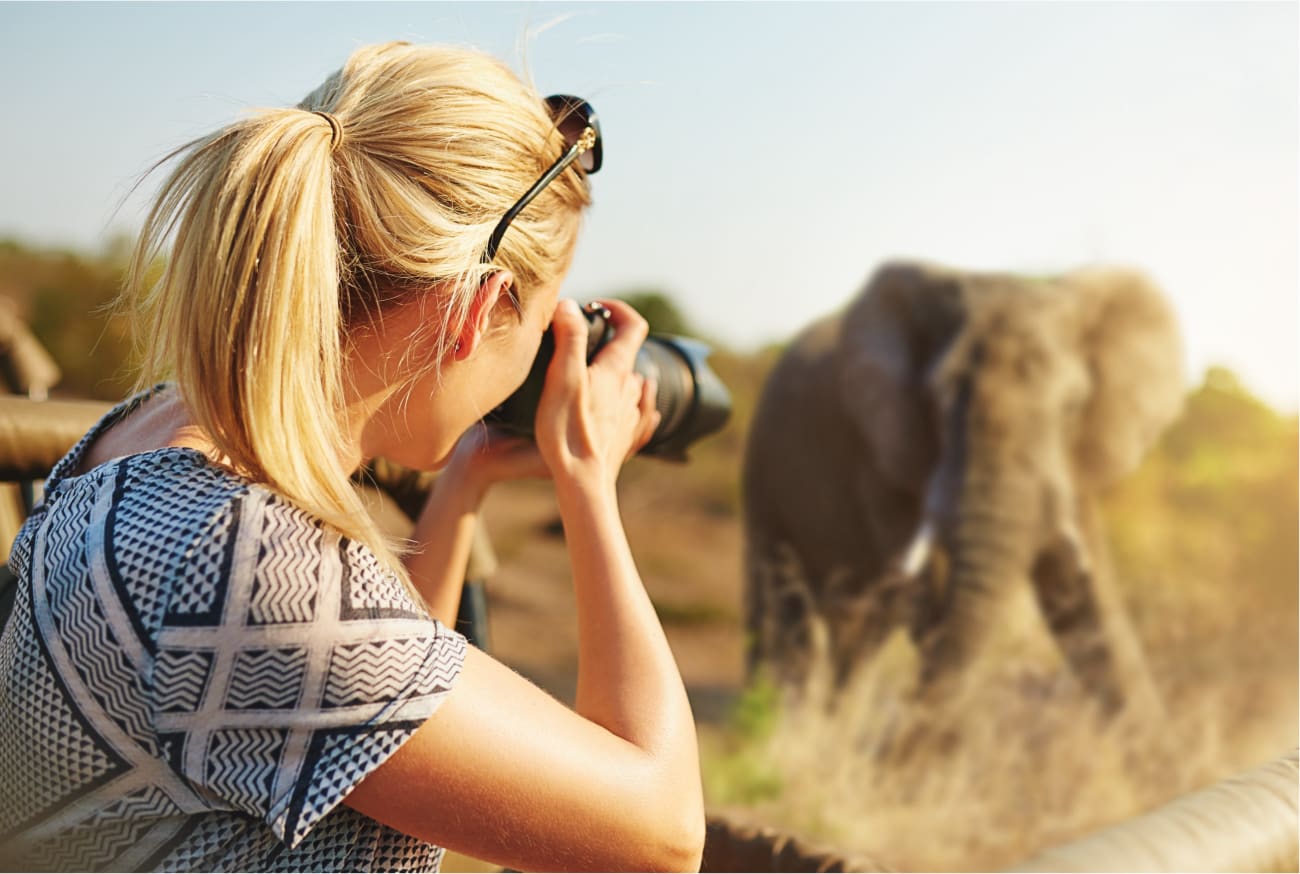 Frau mit professionellem Objektiv fotografiert Elephant aus nächster Nähe