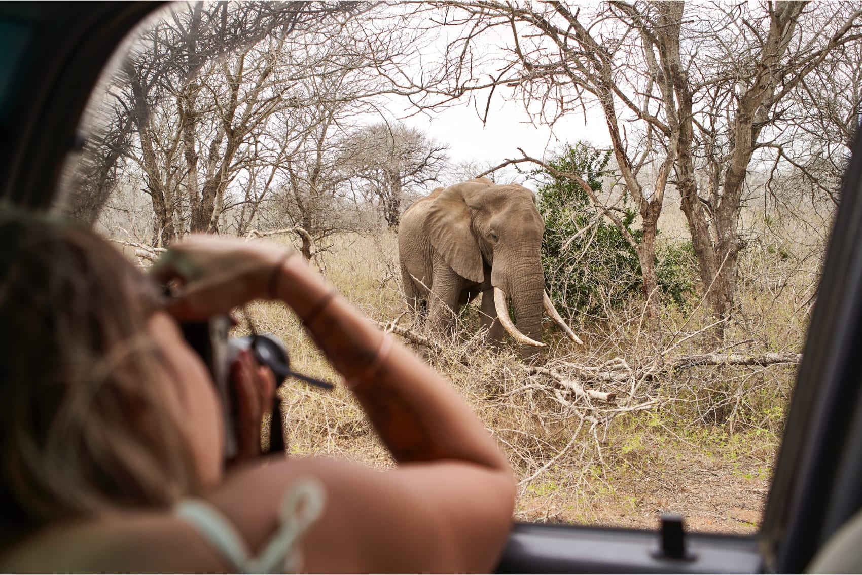 Frau fotografiert Elephant aus nächster Nähe