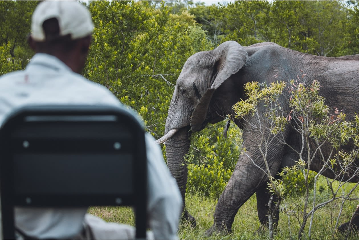 Spotter mit Elefant