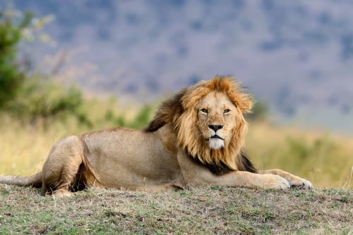 Lake Manyara