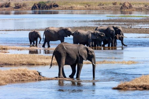 Masai Mara