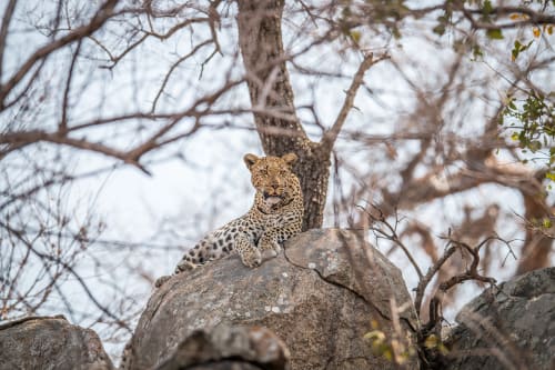 Lake Manyara