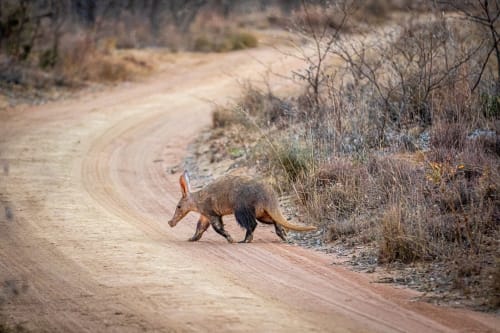 Karoo National Park