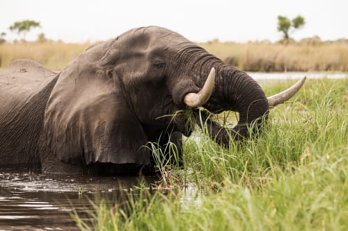 Kabuwoya Wildlife Reserve