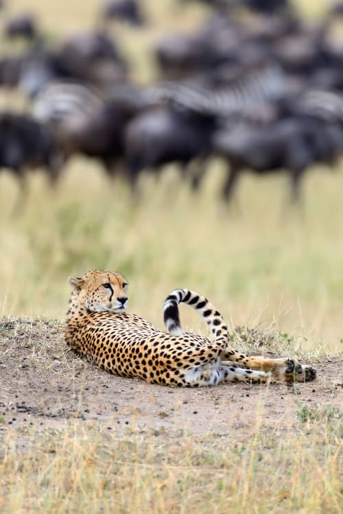 Lake Manyara