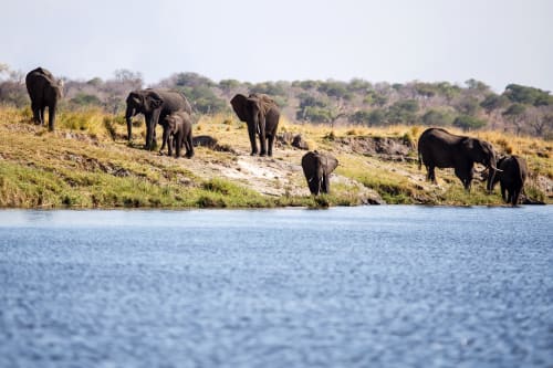 Lower Zambezi