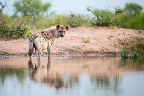 Zambezi Region (Caprivi Strip)