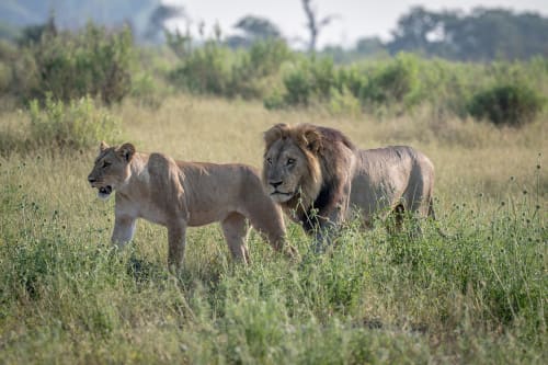 Kidepo Valley