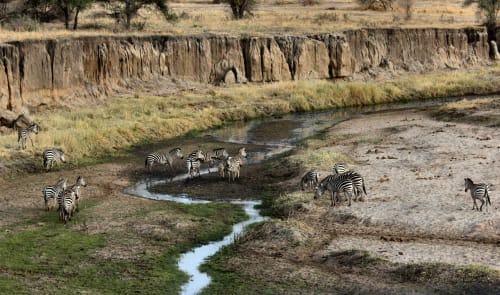 Daan Vilgeorn Game Reserve