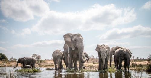 Bwabwata (Zambezi Region)