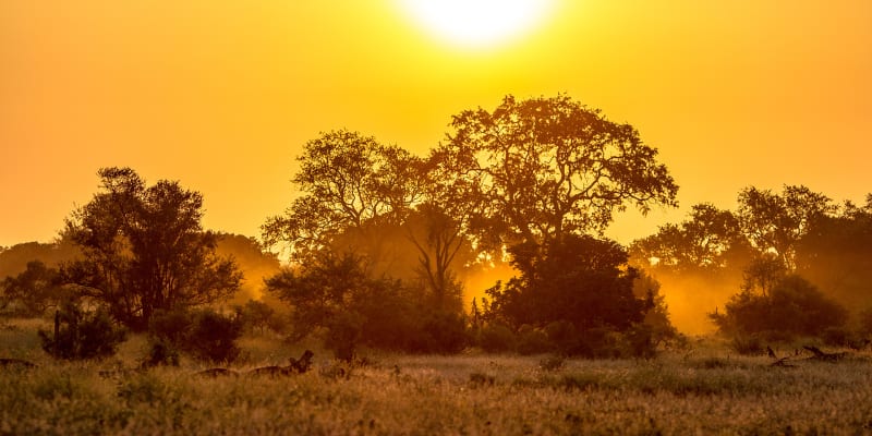 South Africa
