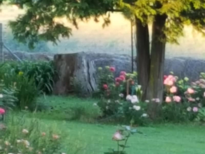 Piccadilly Farm Accommodation