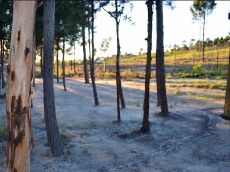 Otium Oasis Glamping & Camping