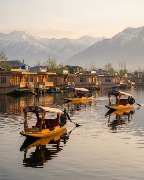 Kashmir