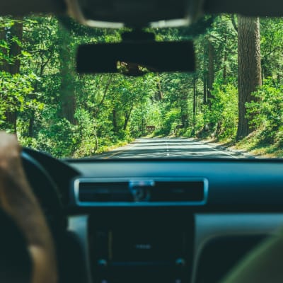 7 mitos de seguros para autos