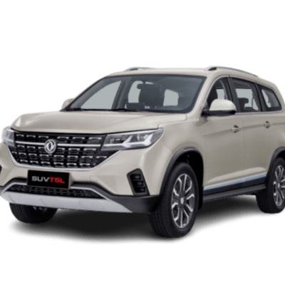 DONGFENG T5