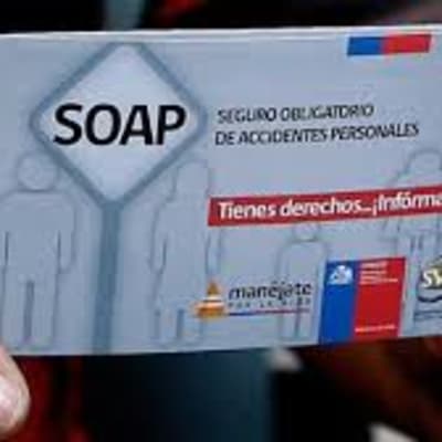 ¿A quiénes protege el SOAP en Chile? Descúbrelo aquí