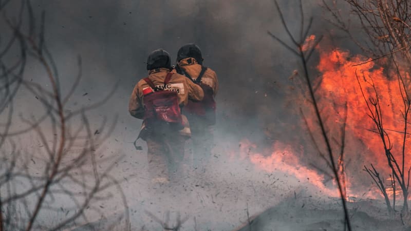 Ahora puedes elegir Bomberos de Chile al contratar un seguro en SafeLemon
