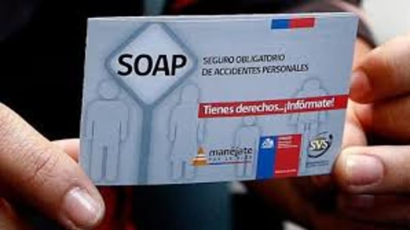 ¿A quiénes protege el SOAP en Chile? Descúbrelo aquí