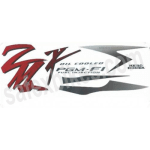 Buy COMPLETE STICKER KIT KARIZMA ZMR ZADON on 35.00 % discount