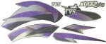 Buy COMPLETE STICKER KIT TVS STAR CITY NM ZADON on 35.00 % discount