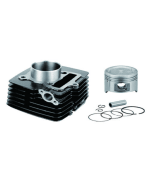 Buy CYLINDER KIT VICTOR ZADON on 0 % discount