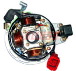 Buy COIL PLATE ASSY CALIBER CROMA SWISS on 0 % discount