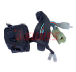 Buy COMBINATION SWITCH KARIZMA ES (LH) SWISS on 15.00 % discount