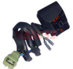 Buy COMBINATION SWITCH KARIZMA ES(RH)SWISS on 15.00 % discount