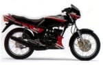 Buy ENGINE GUARD WITHOUT PAINT RXZ OE on 0.00 % discount