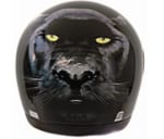 Buy HELMET SB-9 STEELBIRD FULL FACE BLACK MULTI COLOR PANTHER on 0 % discount