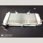 Buy RADIATOR COMPLETE CBR 250CC OE HONDA GP on 0 % discount