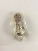 Buy BLINKER LENS STAR CITY 110 SWISS on 0 % discount