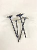 Buy DURO VALVE SET DUKE 390 (SET OF 4) VARROC on 0 % discount