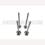 Buy VALVE SET KINETIC BLAZE OE on 15.00 % discount