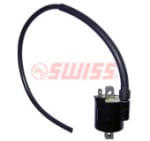 Buy IGNITION COIL MAESTRO SWISS on 15.00 % discount