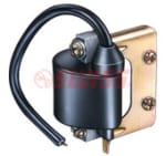 Buy IGNITION COIL RAJDOOT SWISS on 15.00 % discount