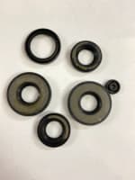 Buy OIL SEAL KIT RAJDOOT 175CC ZADON on 15.00 % discount