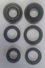 Buy OIL SEAL KIT WEGO ZADON on 15.00 % discount