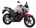 Buy PETROL TANK FZ 16 ZADON on 0 % discount