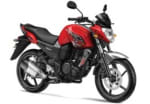 Buy PETROL TANK FZ-S ZADON on 0 % discount