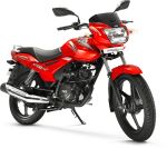 Buy PETROL TANK STAR CITY 110 PLUS ZADON on 35.00 % discount