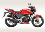 Buy PETROL TANK XTREME SPORTS ZADON on 0 % discount